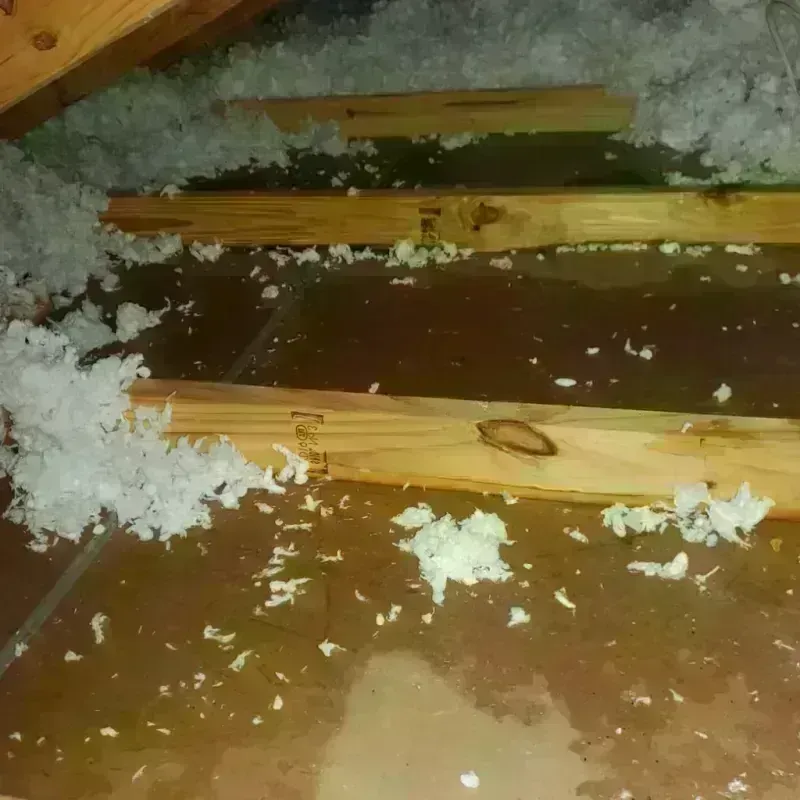 Attic Water Damage in Norwich, CT